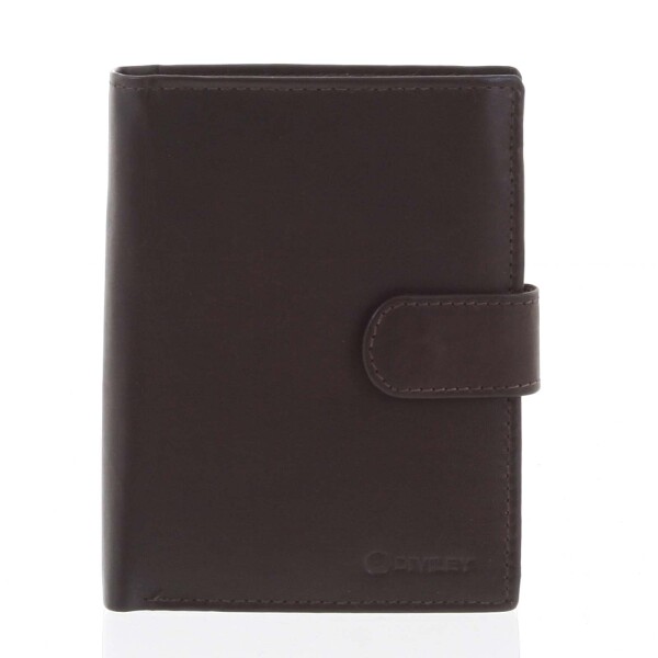 Peněženka pro muže RENE, hnědá matná