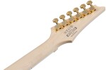 Ibanez RGR420FMSP Transparent Gray