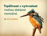 Magnet na lednici "Trpělivost a vytrvalost" - Sri Chinmoy