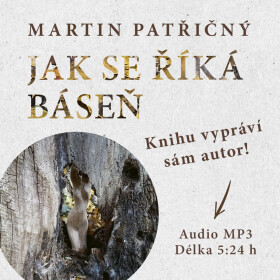 Jak se říká báseň - Martin Patřičný - audiokniha