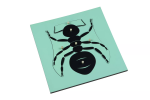 Moyo Montessori Moyo Montessori Puzzle - mravenec