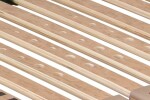 AHORN CZ, s.r.o. Rošt Portoflex Motor Mega bezšňůrový ROZMĚR: 90 x 200 cm
