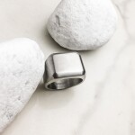 Pánský pečetní prsten Williams, Stříbrná