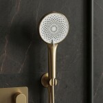 REA - Sprchová hlavice JS-020 BRUSH GOLD REA-08035