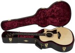 Taylor 314ce SE Rosewood (rozbalené)