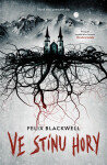 Ve stínu hory - Felix Blackwell