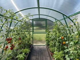 Polykarbonátový skleník – KYKLOP2, PC 6 mm, 3×8 m