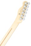 Fender Player Telecaster HH