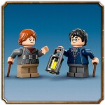 LEGO LEGO® Harry Potter™ 76434 Aragog v Zapovězeném lese