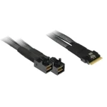 Inter-Tech SFF-8654 8i - 2x SFF-8643 / Kabel / 0,75 m / 24 Gbit/s (88885640)