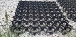 Rojaplast Zatravňovací dlaždice EKOGRID - 50x50x4 cm - černá