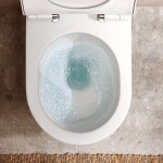 HANSGROHE - EluPura S Závěsné WC se sedátkem SoftClose, Rimless, AquaChannel Flush, SmartClean, EcoSmart, bílá 61186450