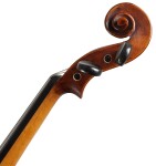 Stentor Violin 4/4 Verona Set SR1864