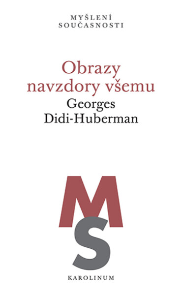 Obrazy navzdory všemu - Georges Didi-Huberman