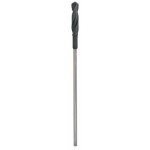 Bosch Accessories 2608596341 šalovací vrták 20 mm Celková délka 400 mm válcová stopka 1 ks