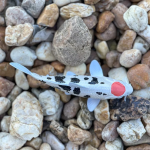 Safari Ltd. Safari Ltd. Figurka - Koi kapr