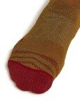Pánské merino lyžařské ponožky ICEBREAKER Mens Ski+ Medium OTC Mountain Contour, Algae/Port/Loden velikost: 39-41,5 (S)