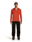 ICEBREAKER Mens 260 Quantum IV LS Zip Hood, Agate (vzorek) velikost: M