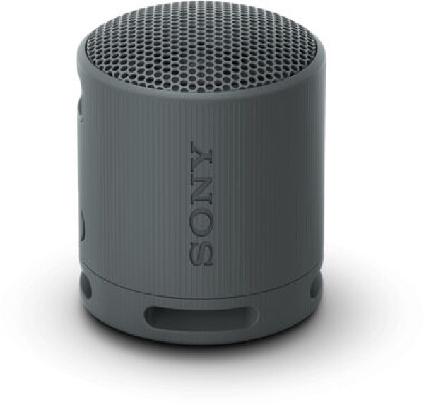 Sony SRS-XB100 černá / Přenosný bezdrátový reproduktor / Bluetooth 5.3 / IP67 / USB-C / až 16 hod. (SRSXB100B)