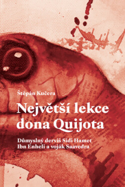 Největší lekce dona Quijota - Štěpán Kučera - e-kniha