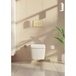 Ovládací tlačítko VitrA Root Square plast zlatá 740-2325 740-2325