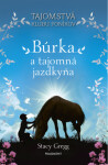 Búrka a tajomná jazdkyňa - Stacy Gregg - e-kniha