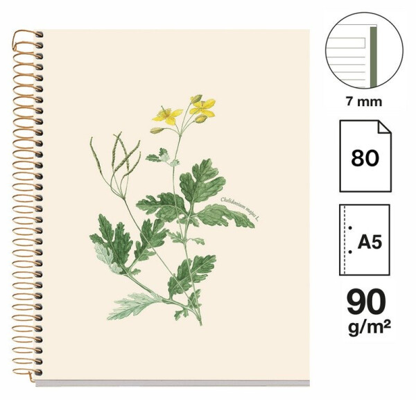 Poznámkový blok Entredos NB-1, A5, 90g, karton, 80 listů, linka - Chelindonium