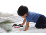 PlanToys PlanToys Set - Mořská zvířata