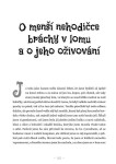 Deníček Camille G box: Od Jedničky po Pětečku - Camille G