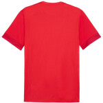 Pánské zápasové tričko Puma teamGoal M 705747 01 2 XL