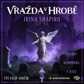 Vražda v hrobě - Irina Shapiro - audiokniha