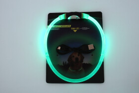 Blesk LED nabíjecí obojek pro psa Barva: Zelená, Obvod krku: 35 cm