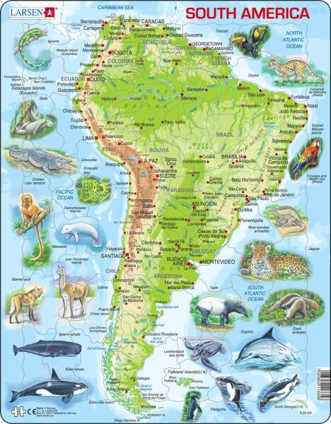 Puzzle South America Topographic Map