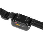 Elektronický výcvikový obojek pro psy d-control Edge 650R s prstýnkovým ovladačem