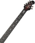 Sterling by Music Man Majesty MAJ200X FM Tiger Eye