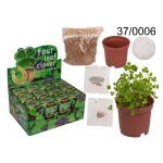 Ptakoviny.cz Čtyřlístek vypěstuj si..