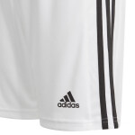 Šortky pro mládež Squadra 21 GN5766 Adidas