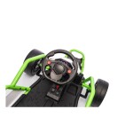 Mamido Elektrická driftovací motokára TORNADO 2x150W 24V zelená