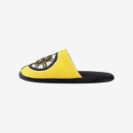 FOCO Pánské pantofle Boston Bruins Team Logo Staycation Slipper Velikost: EU