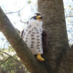 Plyšový jestřáb 23cm ECO-FRIENDLY