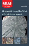 Zkamenělé stopy živočichů Čechách na Moravě