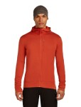 ICEBREAKER Mens 260 Quantum IV LS Zip Hood, Agate (vzorek) velikost: M