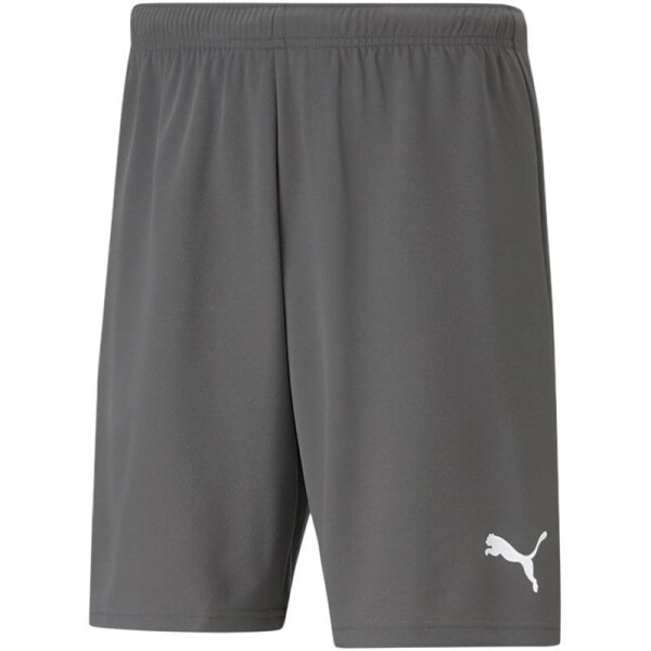 Pánské kraťasy TeamRise Short 704942 13 Puma