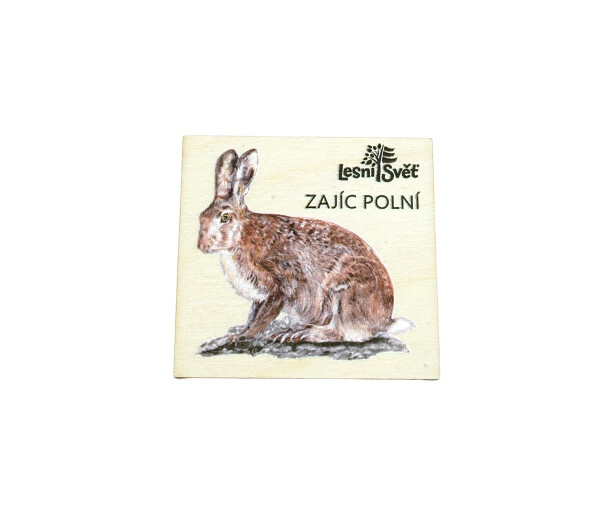Magnet malý - Zajíc
