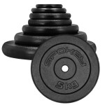 Litinové závaží 5 kg Spokey Sinis H SPK-944484 5 KG