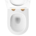 REA - Závěsná WC mísa Carlo Mini Tornado NFQ GOLD WHITE REA-C6006