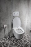 SAPHO - PACO závěsná WC mísa, Rimless, 36x53cm, bílá PZ1012WR