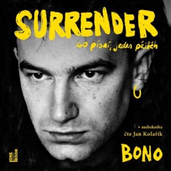 Surrender: 40 písní, jeden příběh - Bono - audiokniha