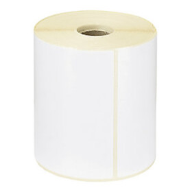 Termální etikety 100x74mm, na roli ø76mm, 2000 etiket, s perforací | RAJA