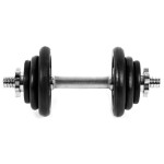 Činky 21 kg Spokey Egir SPK-944479 21 kg